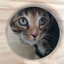 잔다냥 강동점 이미지