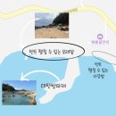 어류골펜션민박 | 경북 영덕 대탄항, 대탄방파제 스노쿨링 후기 (주차, 텐트, 취사, 꿀팁)
