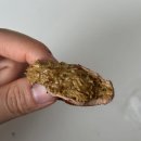 카페카탈란 | 안양] 카탈란 ‘두쫀쿠’ 솔직후기