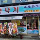 낙지장군