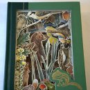 아리울초교 이미지