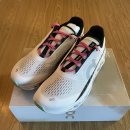 더도어성형외과의원 | 온러닝 클라우드몬스터1-친구가 선물해준 신발 80km 후기