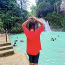 일정 | 세부 혼자 여행 태교여행 투어 리조트 다이빙 일정 후기