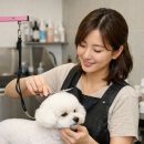표나개 반려애견 미용실 | 애견 미용실 고객관리프로그램, 미용실 전용 써도 되나요? 뷰티인프라를 써야하는 이유