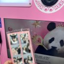 오형제 손짜장 이미지