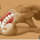 우림휘트니스클럽 이미지