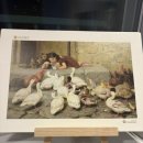 수안이네 이미지