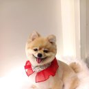 행복가득 | 가평 금강산 숯불닭갈비 막국수 맛과 행복 가득한 후기!