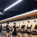 GOTO 다대포점 이미지