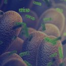 (주)리드헬스케어 이미지