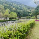 와룡산청룡사앞 이미지