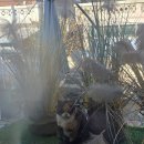 새말역 | 새말역 근처 카페 추동길 내돈내산 후기