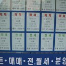 부동산권리분석과 경매 이미지