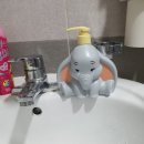 샴프네집 이미지