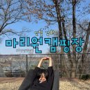 장흥숲길캠핑장 | 인천 강화 캠핑장 장흥저수지가 한눈에 보이는 마리원캠핑장 숲7사이트