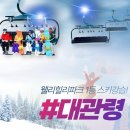 고원로 | 웰리힐리파크 렌탈샵 스키강습 및 리프트권 패키지 할인 혜택 후기
