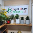 라이트바디해독센터