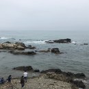 남나리전복 이미지