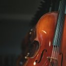 첼로파크 이미지