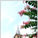 칠곡 왜관성당 이미지