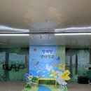 청계천 생태학교 곤충탐사대 후기