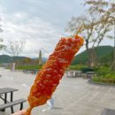 P-7802 | 경북 영덕 고래불해수욕장 차박 7번 국도 차크닉