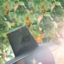 하도 로운이네 이미지