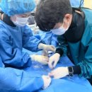 강원대학교 부속 동물병원 이미지