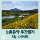 해남우리종합병원 | 유학 주간일기 5월 다섯째주 / 득량만 해비치게장, 브릿지온카페 / 수세미 심기 / 금계국 / 해남 병문안