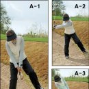 그린벙커 이미지