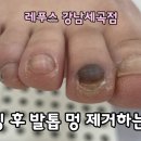레푸스강남세곡점