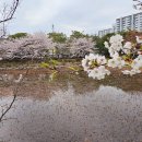 국원고등학교 이미지