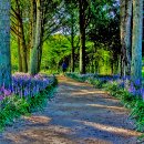 태화강 철새공원 이미지