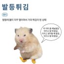 까페나의날 - 33365 | 2025 성열 생일카페 <너는 나의 COVER BOY!> 후기