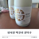 성시경 막걸리 경탁주 솔직 후기 - 고도수 탁주의 새로운 매력