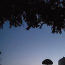 표선생활체육관 이미지