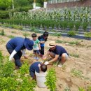 삼용농장 이미지