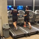 고릴라헬스클럽 이미지