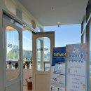 바른교육사