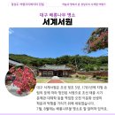 화수정 | 대구 배롱나무 명소 서계서원 개화 상황 7월 꽃구경