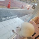 뚱이미용실