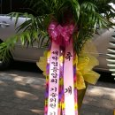 백조명품세탁 이미지