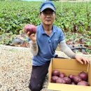 우솔농장 이미지