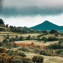 나라와우리 이미지