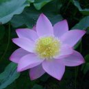 오늘의 기분 이미지