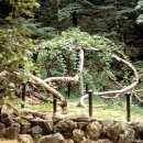 종로-종로-종로-종-251 이미지