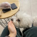 527 미장원 이미지