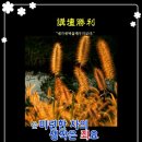 샬롬 이미지
