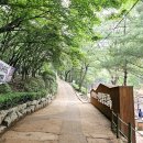 새마을로2길 티스토리