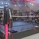 오스타짐 이미지